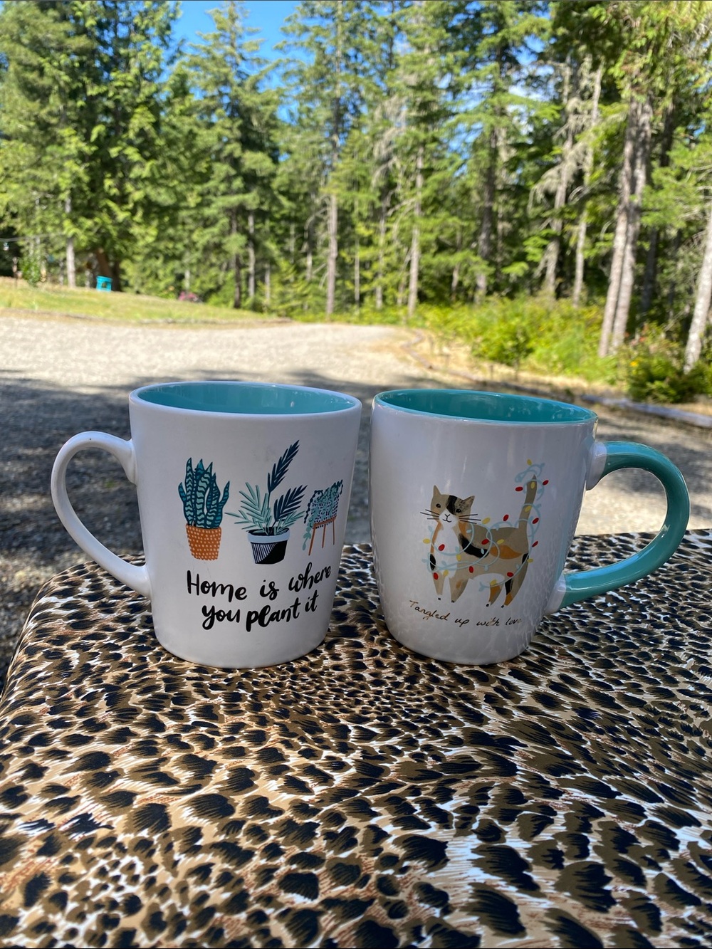 Two large coffee mugs. Big enough for soup.